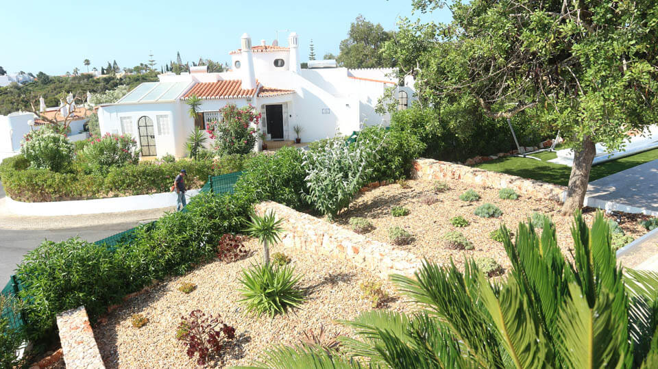 Succulent Garden on the Stone Terraces 06