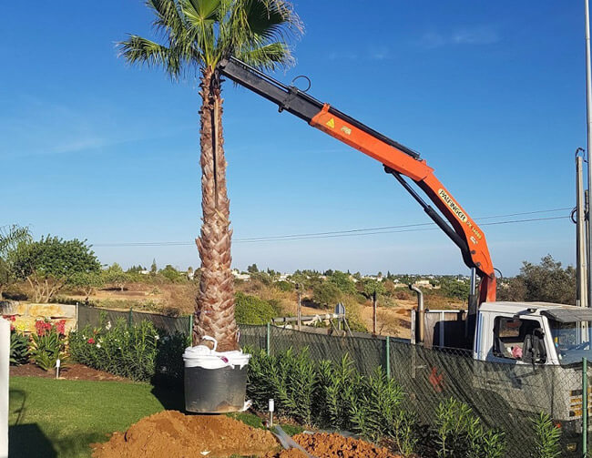 garden-planting.algarve