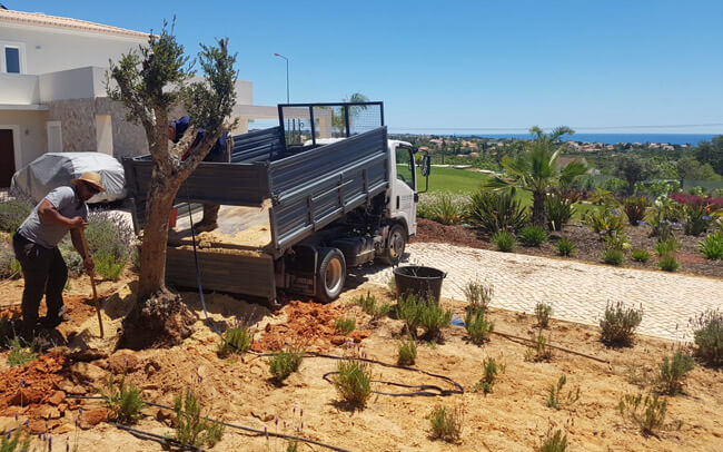 garden-planting