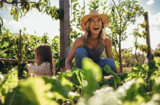 Family & friends gardening